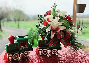 Special Christmas Train