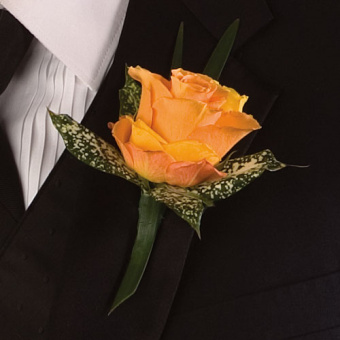 Boutonniere19