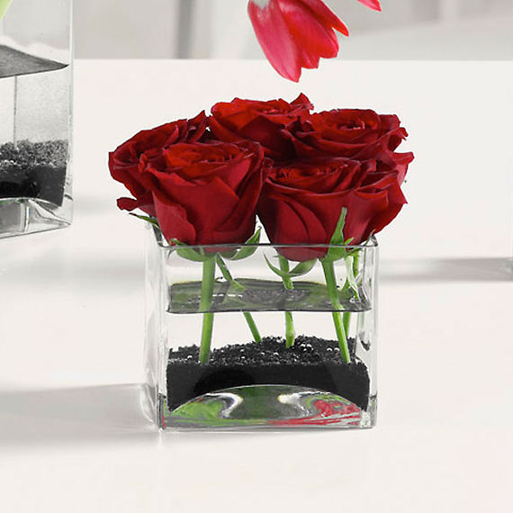 Roses in Glass Cube